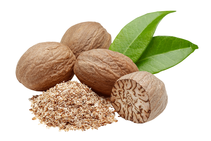 Nutmeg Wholesale Indonesia