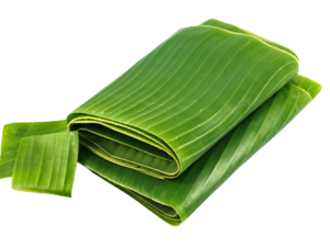 banana leaves tree wholesale supplier indonesia