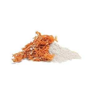 carrageenan