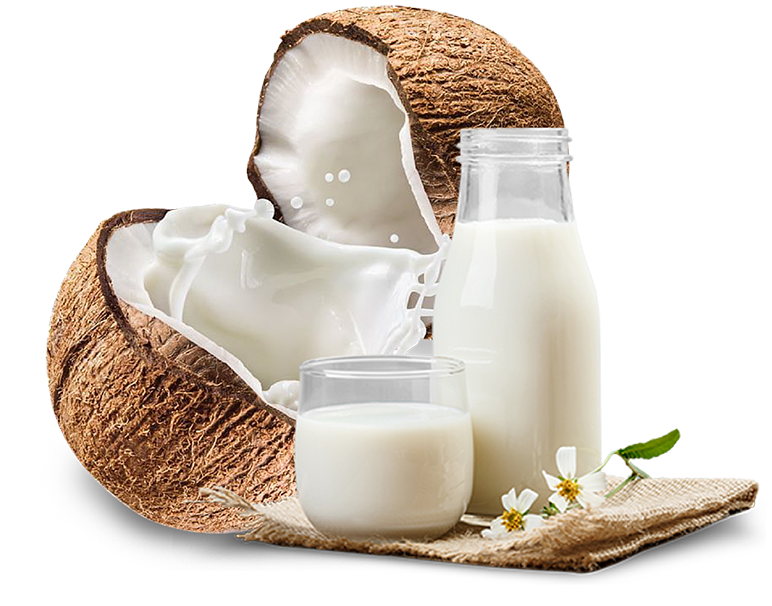 coconut milk and powder for sale