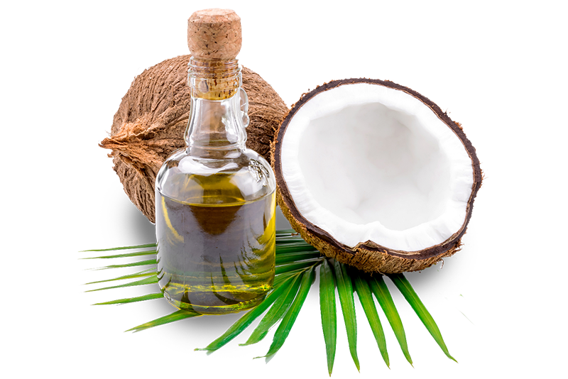 crude coconut oil cco for sale