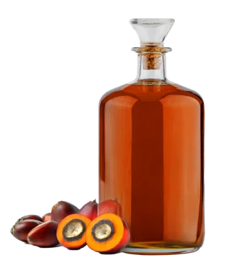 palm oil crude bulk wholesale for sale