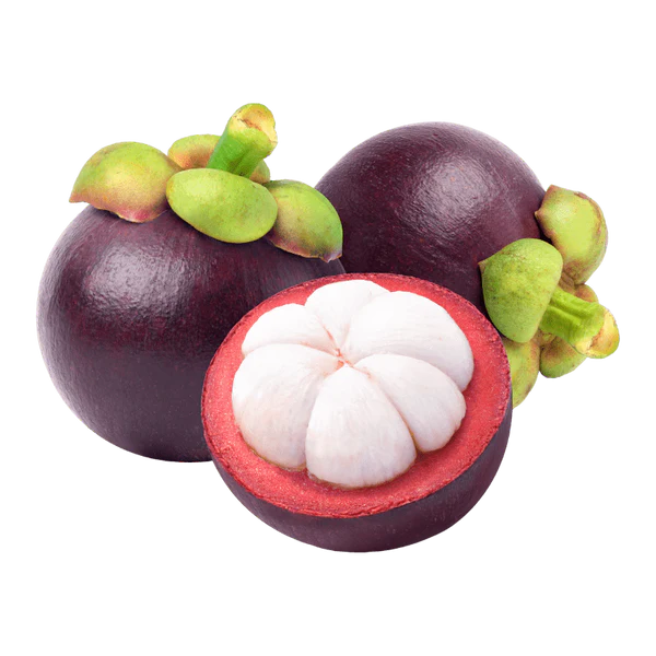 mangosteen bulk wholesale for sale