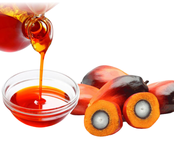 buy palm kernel oil crude bulk wholesale for sale
