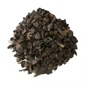 palm kernel shell for sale